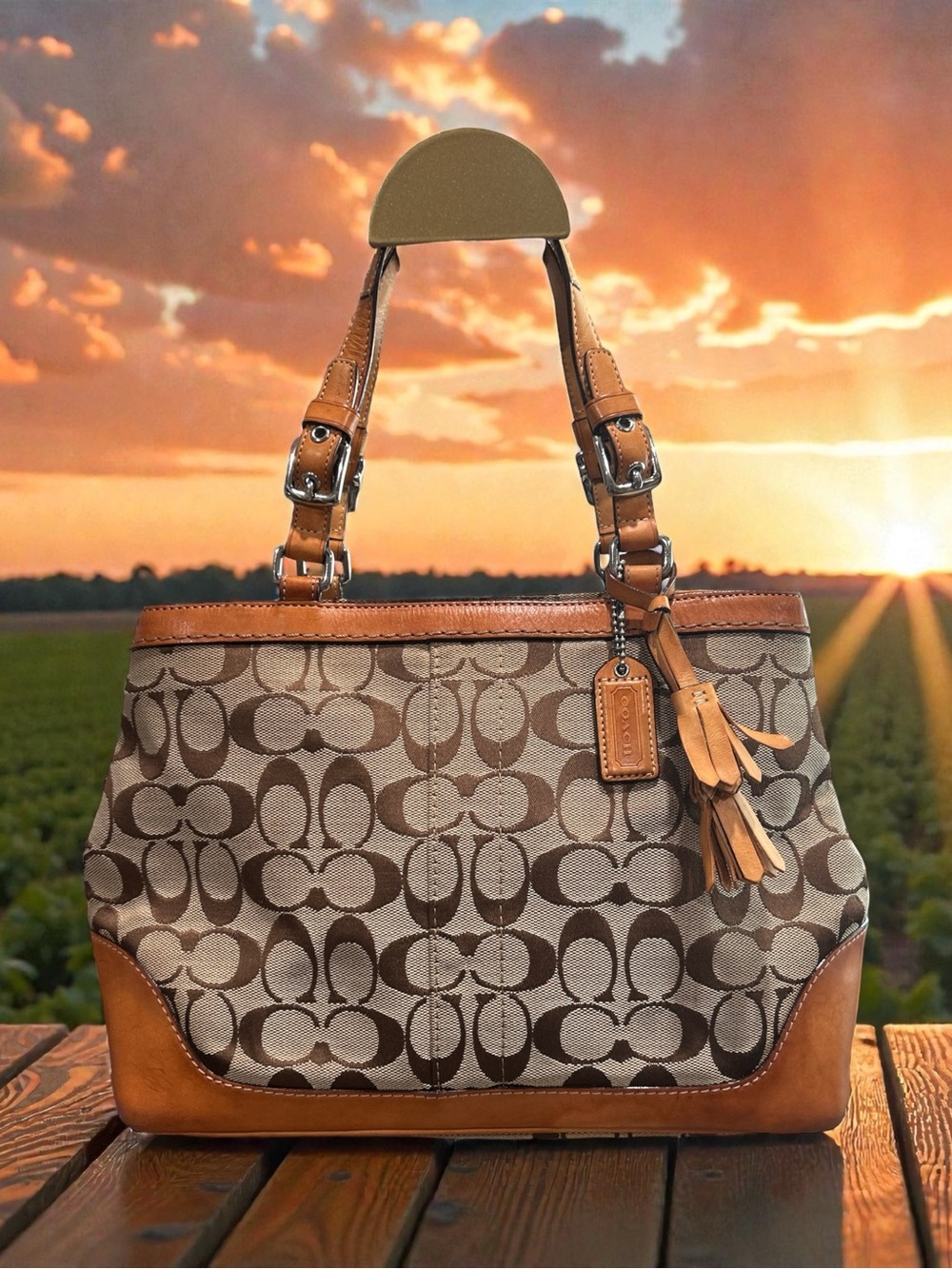 Coach Brown and Tan Signature Jacquard Tote with Leather Trim